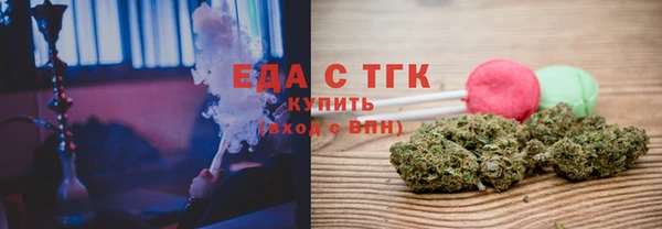соль ск Инсар
