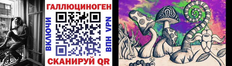 Купить закладки  Жуковка  Псилоцибиновые грибы Cubensis 